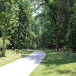 Tilden Woods trail
