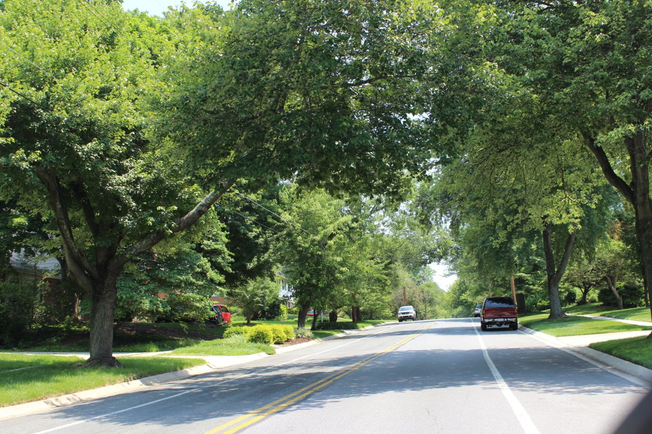 drive through Tilden Woods neighborhood