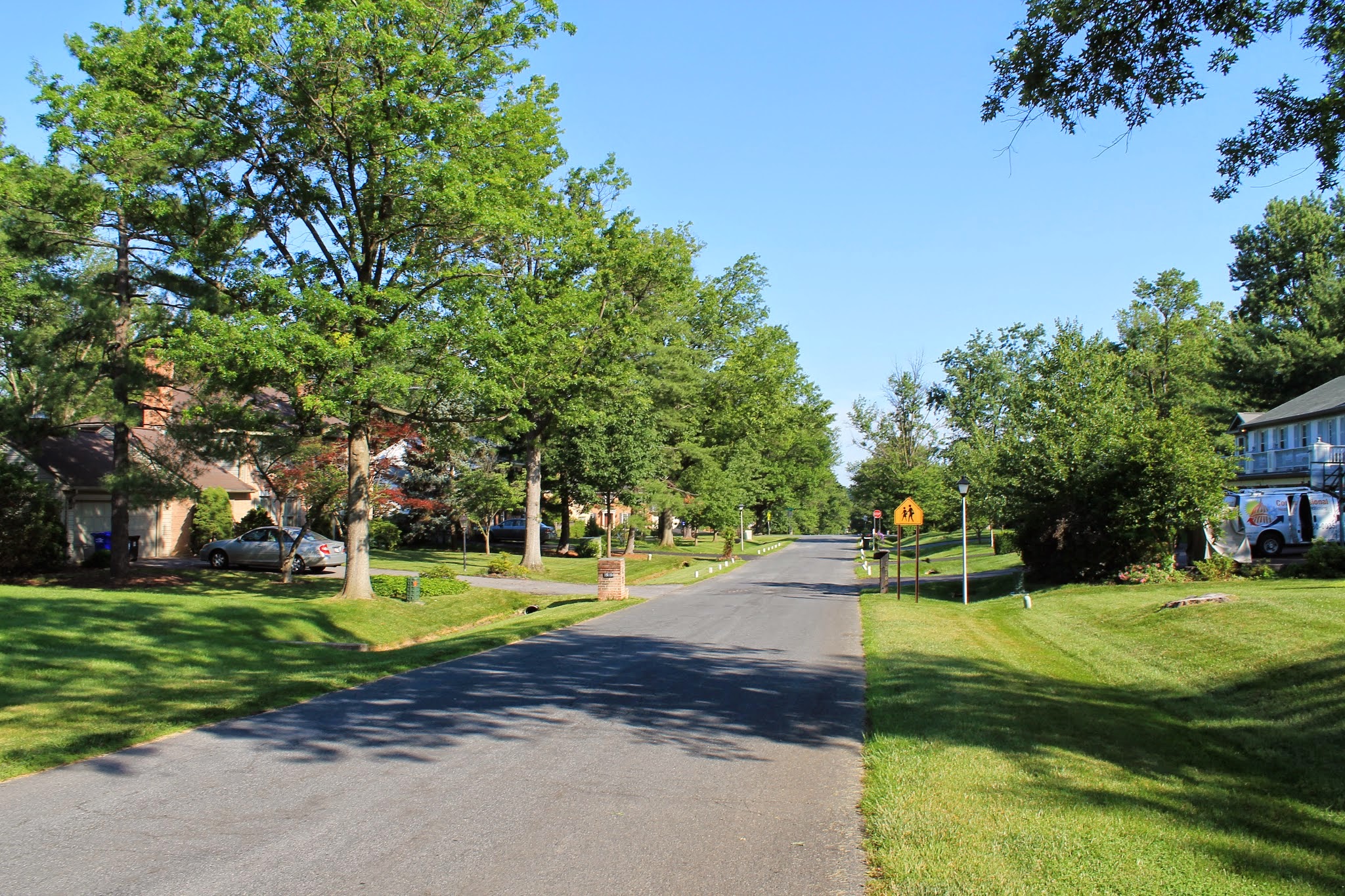 Tree lined street in the Flower Valley neighborhood