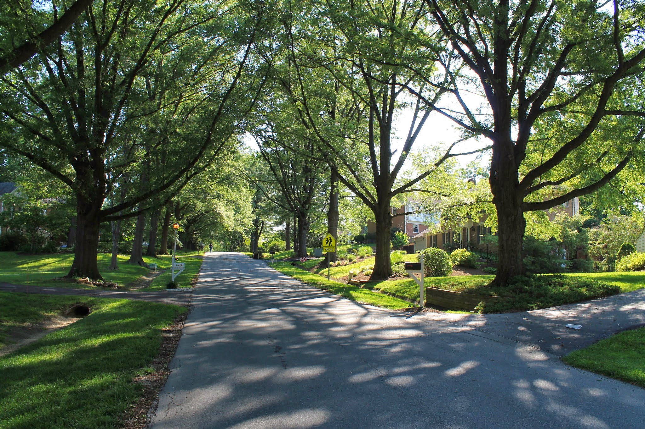 Tree lined street in Flower Valley great for walks and bike ride